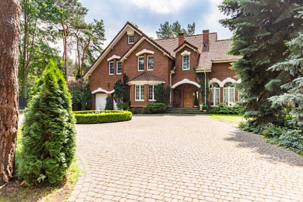 Best Paver Driveway Replacement  in Encinal, TX