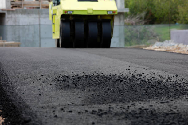 Best Driveway Pavers Installation  in Encinal, TX