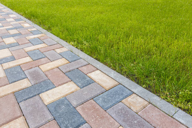 Best Custom Driveway Pavers  in Encinal, TX